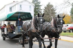 Two black horses pulling a carriage down the street.